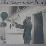 The tame cock-a-too