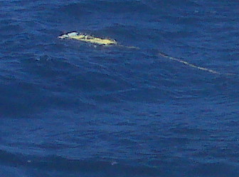 IMG00063