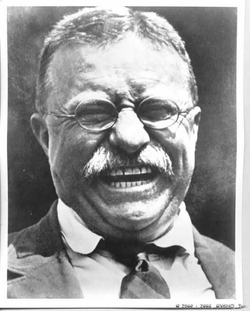 Teddy Roosevelt